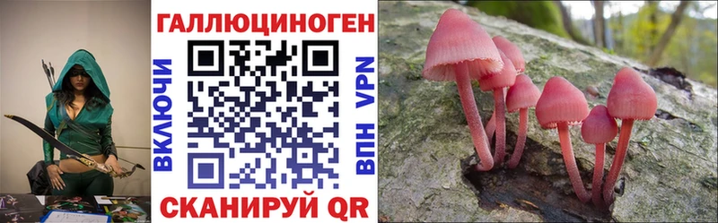 Псилоцибиновые грибы Psilocybine cubensis  Электрогорск 